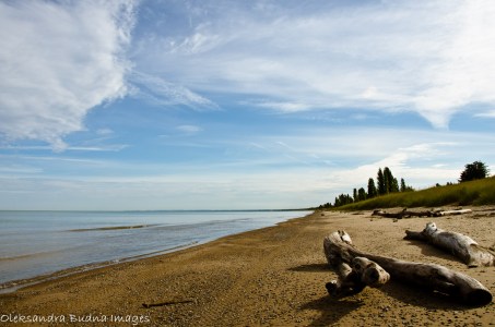 PineryLabourDay2014-1