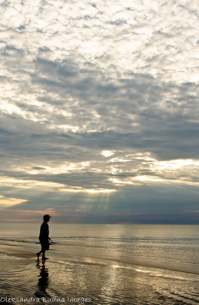 PineryLabourDay2014-40