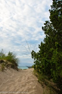 PineryLabourDay2014-42