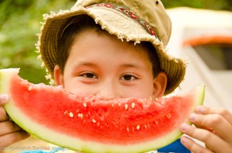 PineryLabourDay2014-43