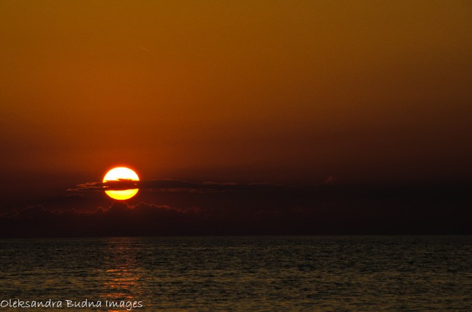 PineryLabourDay2014-70