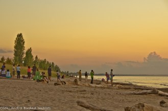 PineryLabourDay2014-72