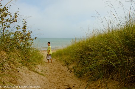 PineryLabourDay2014-77