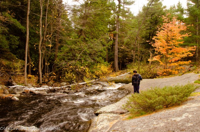 gut lake trail at Gruncy Lake