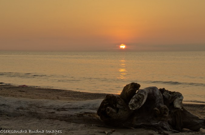 PineryLabourDay2014-71