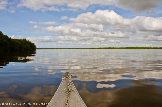 canoeing in Everglades