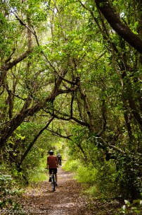 biking snake bight trail at Everglades