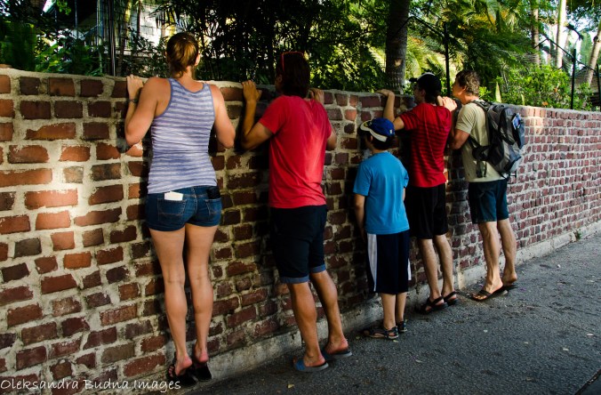 hemingway's house in key west