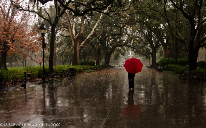 Forsyth Park, Savannah