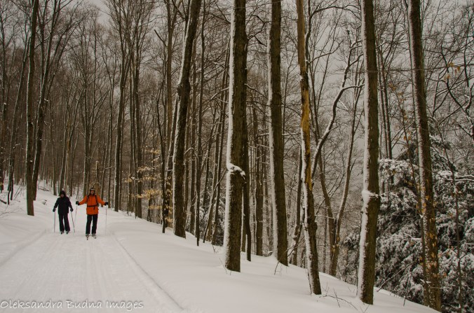 skiing at Allegany State park