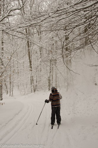 skiing at allegay state park