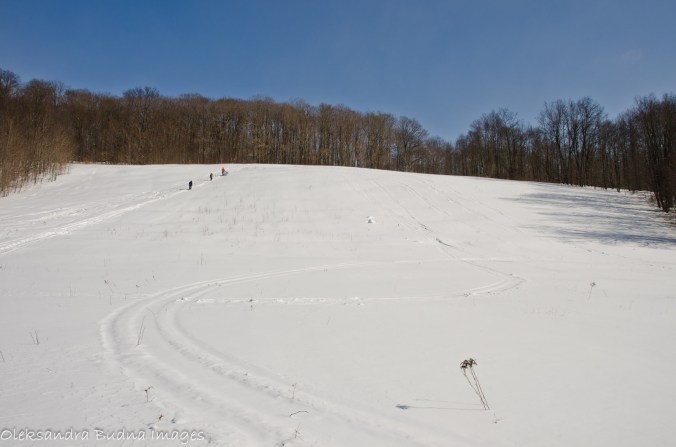 hil at Allegany state park
