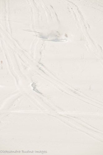 tobogganing at allegany state park