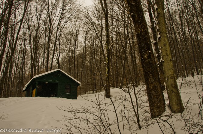 Allegany Family Day-5