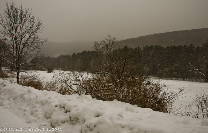 Allegany state park, Congdon trail in the winter