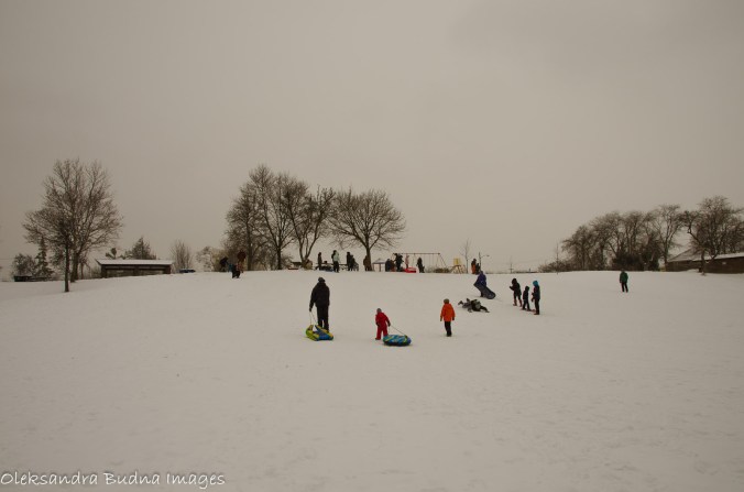 tobogganing hill
