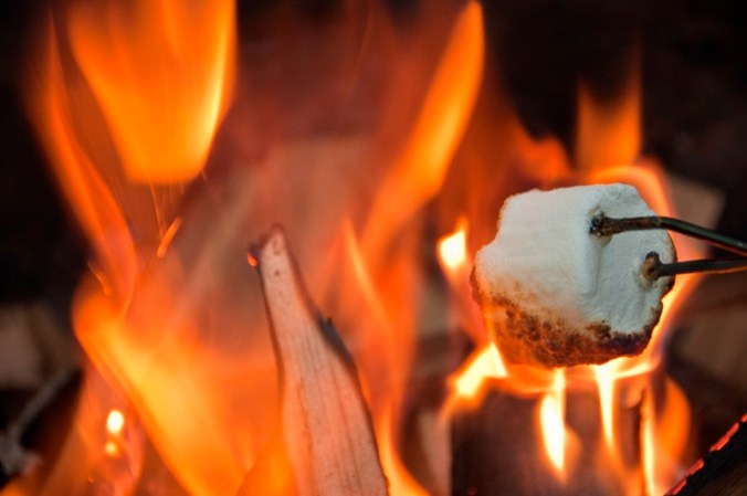 marshmellow in the campfire