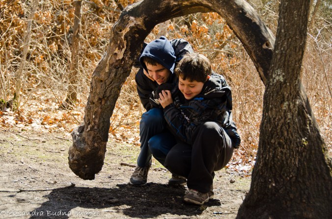 kids under an arched tree