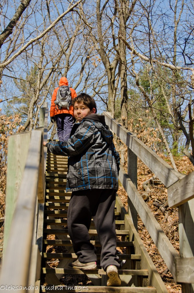 Cedar trail at Pinery