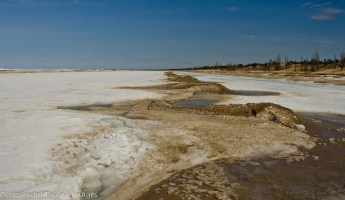 Pinery beach in the spring 