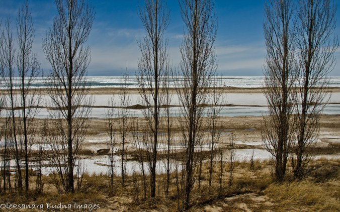 pinery beach in the winter