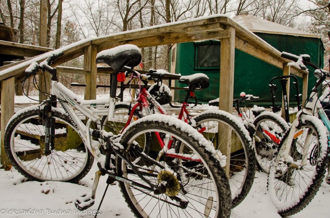 bikes covered in snow