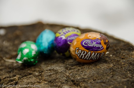 chocolate eggs on  a stump