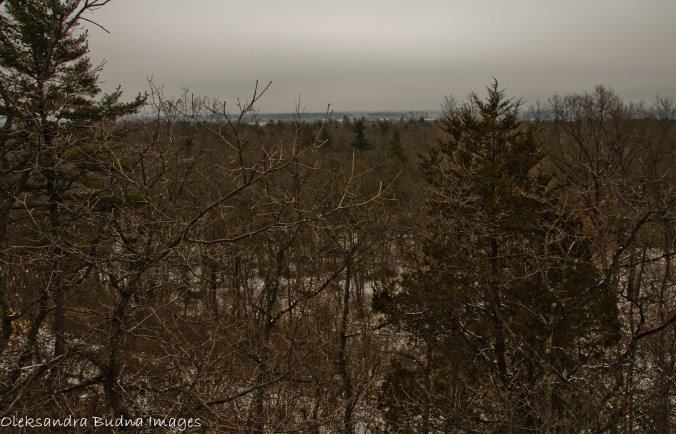 view from Nipissing trail lookout at Pinery