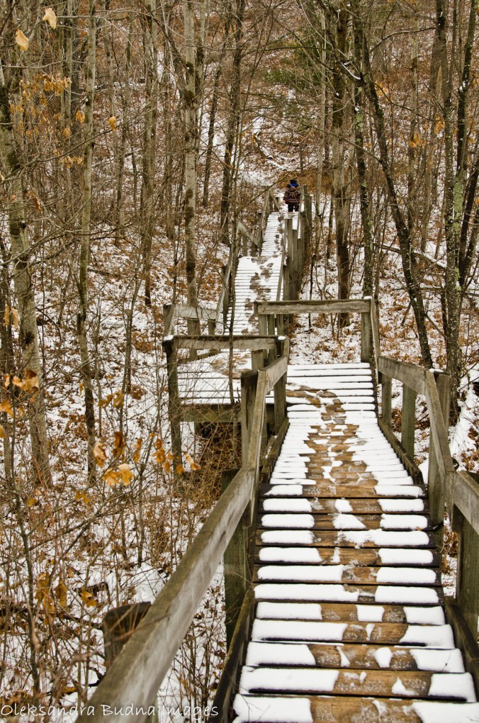 Nipissig trail at Pinery