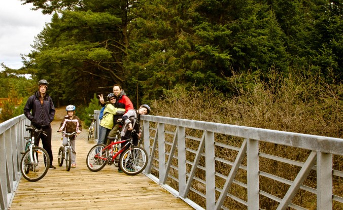 biking in Algonquin