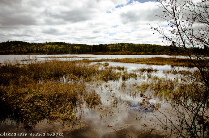 Lake of Two Rivers in the spring