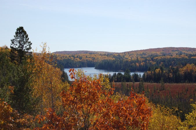 view of algonquin in the fall neat the Viitor Centre