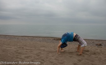 wheel poseon the beach at Point Pelee National Park