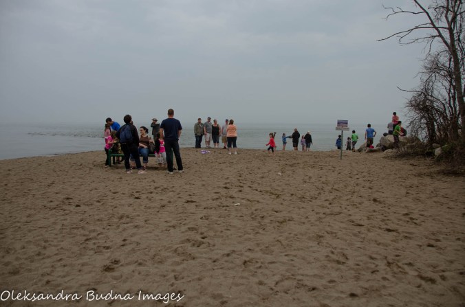 southermost point at Point Pelee National Park
