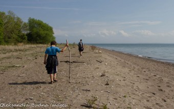 beach at Fish Point Reserve on Pelee Island