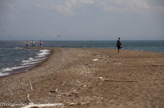 beach at Fish Point Reserve on Pelee Island