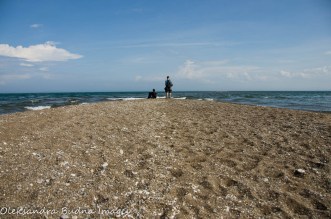beach at Fish Point Reserve on Pelee Island