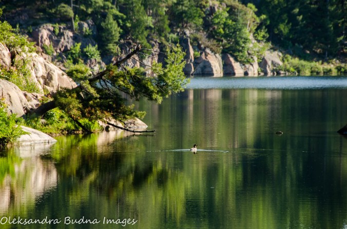 Morning on George Lake at Killarney Provincial Park