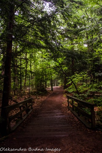 Silent Lake Provincial Park