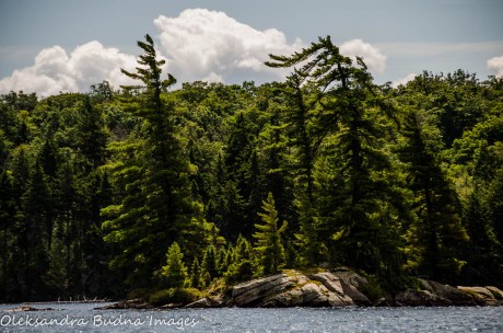 island on Maggie Lake in algonquin