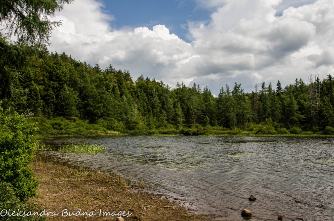 Maple Leaf Lake in Algonquin Provincial Park