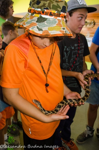 snake demonstration in the visitor centre at Killbear Provincial Park