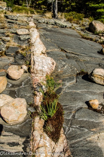 rocks at Killbear Provincial Park
