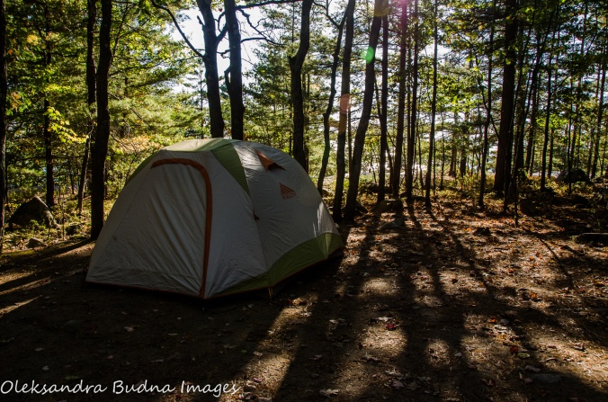 campsite 564 at Killbear Provincial Park