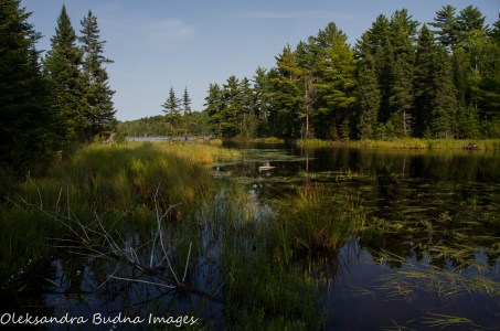 unnamed lake at Quetico