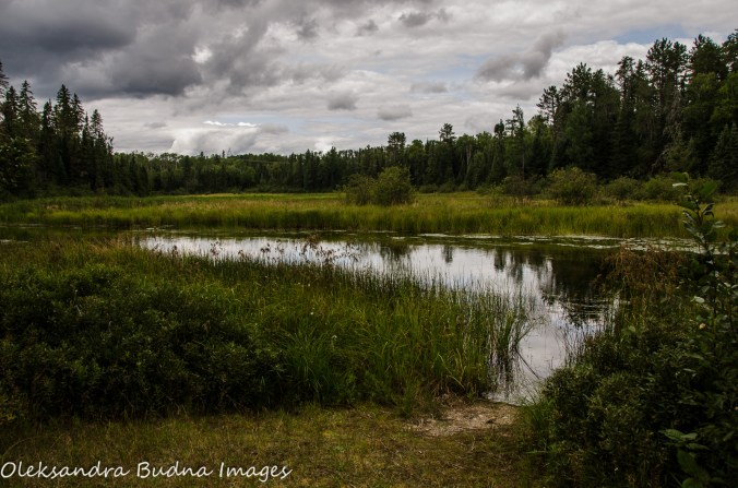view from the Boardwalk at Quetico Provincial Park