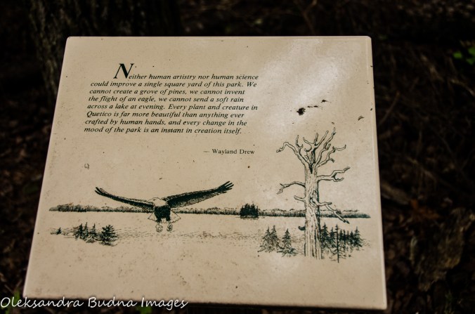 quote along the Boardwalk at Quetico Provincial Park
