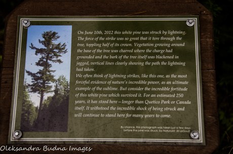 sign at Quetico Provicial Park