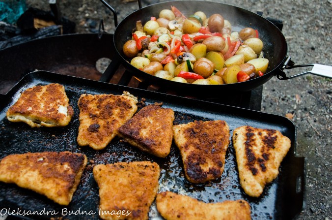 fish and veggie over the campfire