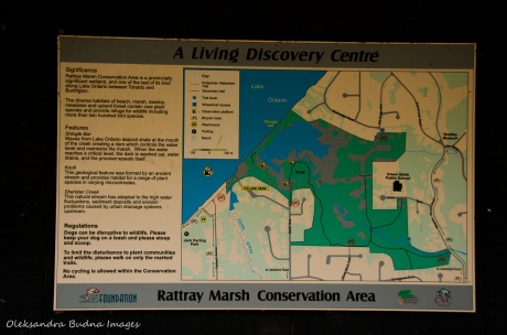 map of Rattray March conservation area in Mississauga